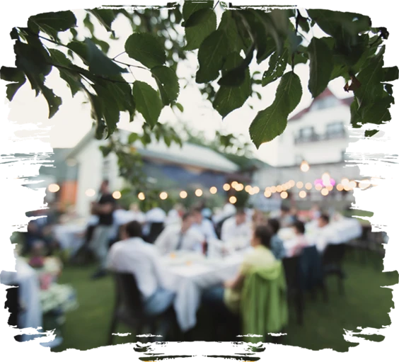 String-lit outdoor venue seating under trees